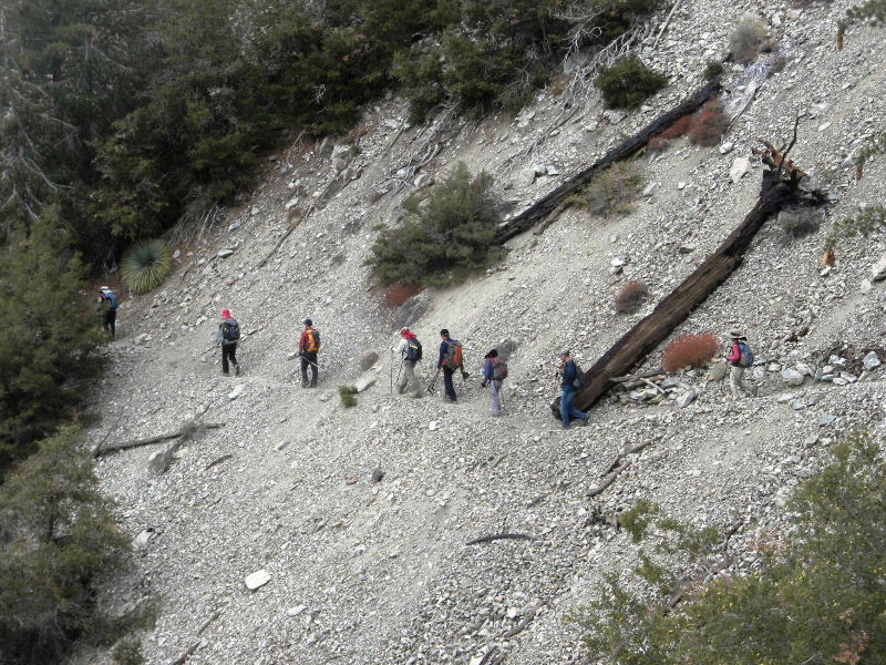 Timber101710 109.jpg